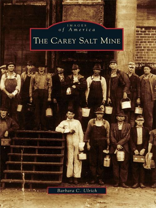 Cover of the book The Carey Salt Mine by Barbara C. Ulrich, Arcadia Publishing Inc.
