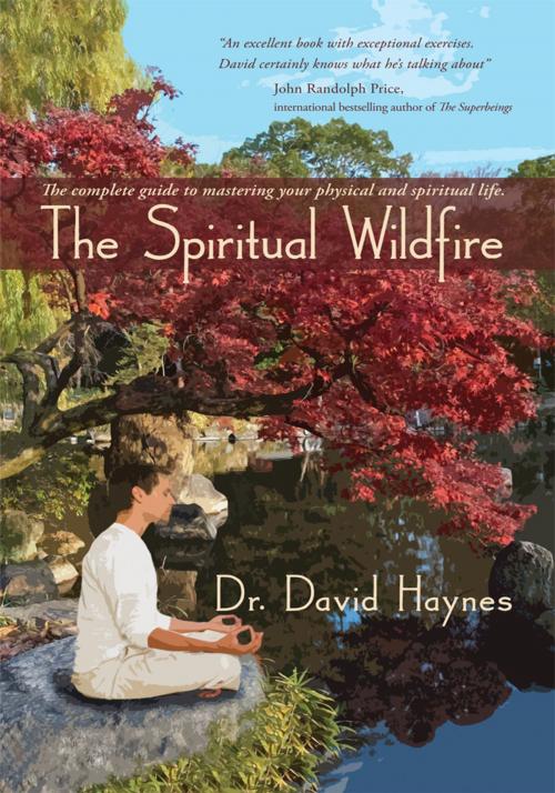 Cover of the book The Spiritual Wildfire by David Haynes, iUniverse
