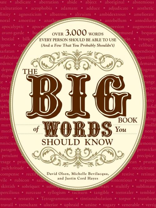 Cover of the book The Big Book of Words You Should Know by David Olsen, Michelle Bevilacqua, Justin Cord Hayes, Adams Media