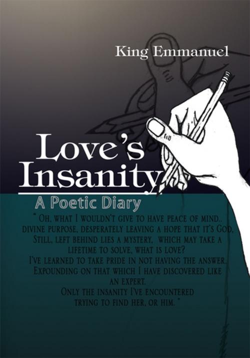 Cover of the book Love's Insanity by King Emmanuel, Xlibris US