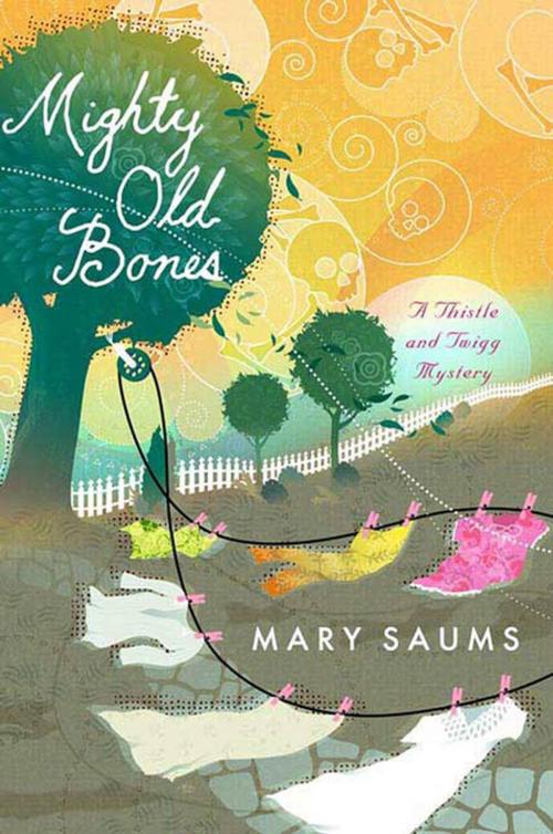 Cover of the book Mighty Old Bones by Mary Saums, St. Martin's Press