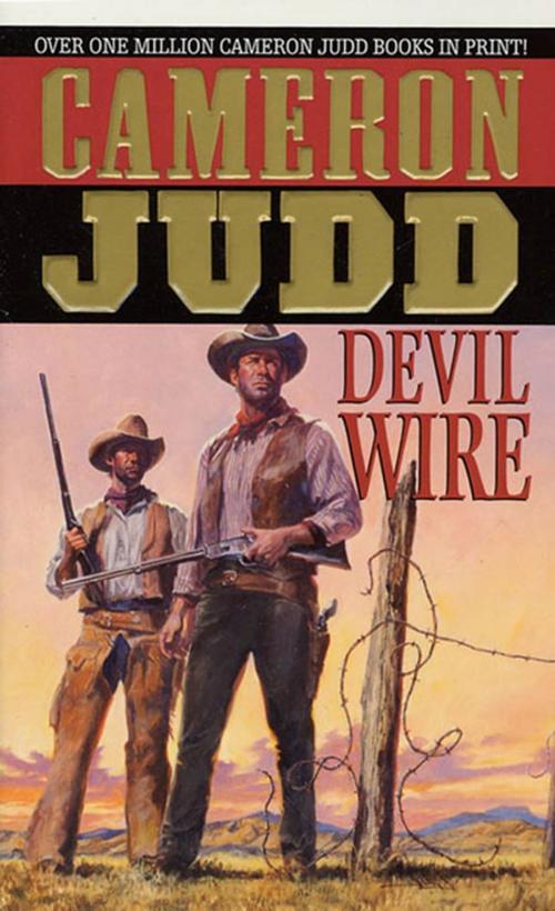 Cover of the book Devil Wire by Cameron Judd, St. Martin's Press