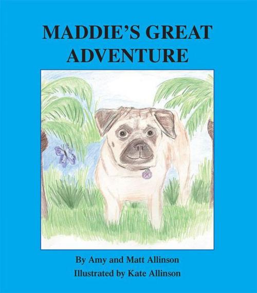 Cover of the book Maddie's Great Adventure by Amy Allinson Amy, Trafford Publishing