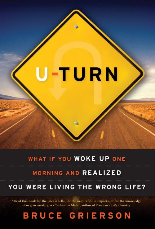 Cover of the book U-Turn by Bruce Grierson, Bloomsbury Publishing