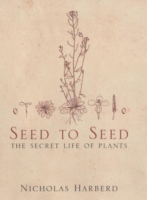 Cover of the book Seed to Seed by Nicholas Harberd, Bloomsbury Publishing
