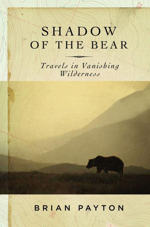 Cover of the book Shadow of the Bear by Brian Payton, Bloomsbury Publishing