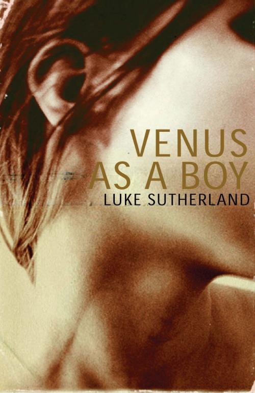 Cover of the book Venus as a Boy by Luke Sutherland, Bloomsbury Publishing