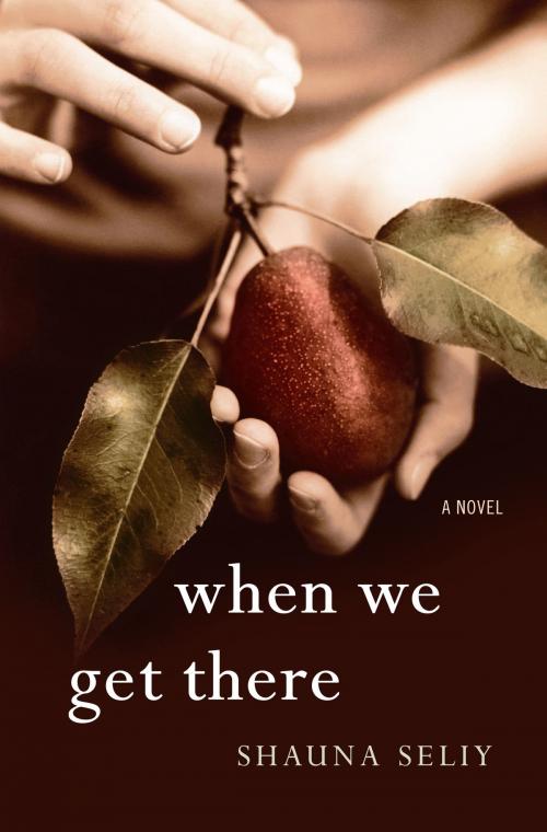 Cover of the book When We Get There by Shauna Seliy, Bloomsbury Publishing