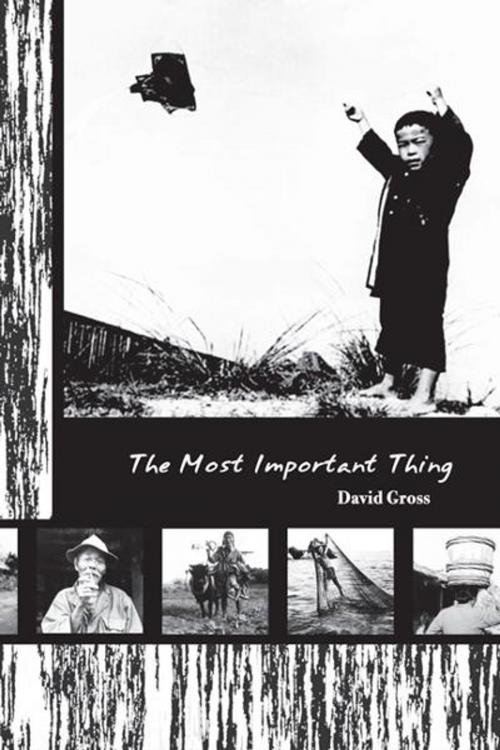 Cover of the book The Most Important Thing by David Gross, The Small Press