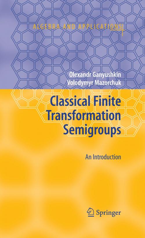 Cover of the book Classical Finite Transformation Semigroups by Volodymyr Mazorchuk, Olexandr Ganyushkin, Springer London