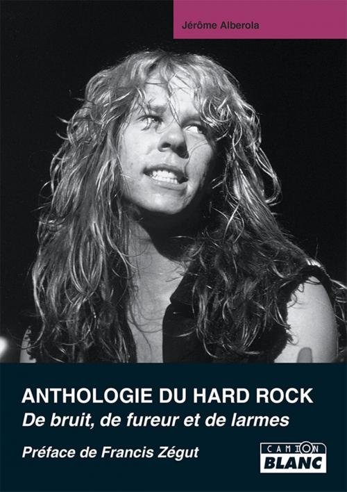 Cover of the book ANTHOLOGIE DU HARD ROCK by Jérôme Alberola, Camion Blanc