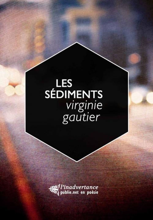 Cover of the book Les Sédiments by Virginie Gautier, publie.net