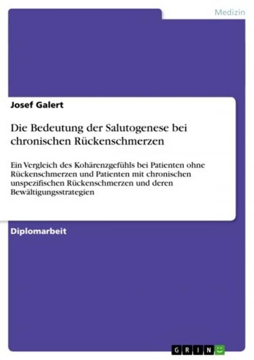 Cover of the book Die Bedeutung der Salutogenese bei chronischen Rückenschmerzen by Josef Galert, GRIN Verlag