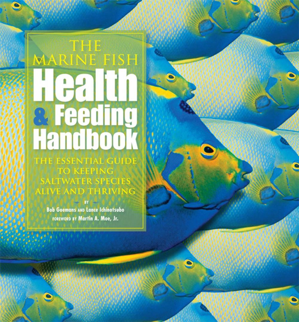 Big bigCover of The Marine Fish Health & Feeding Handbook