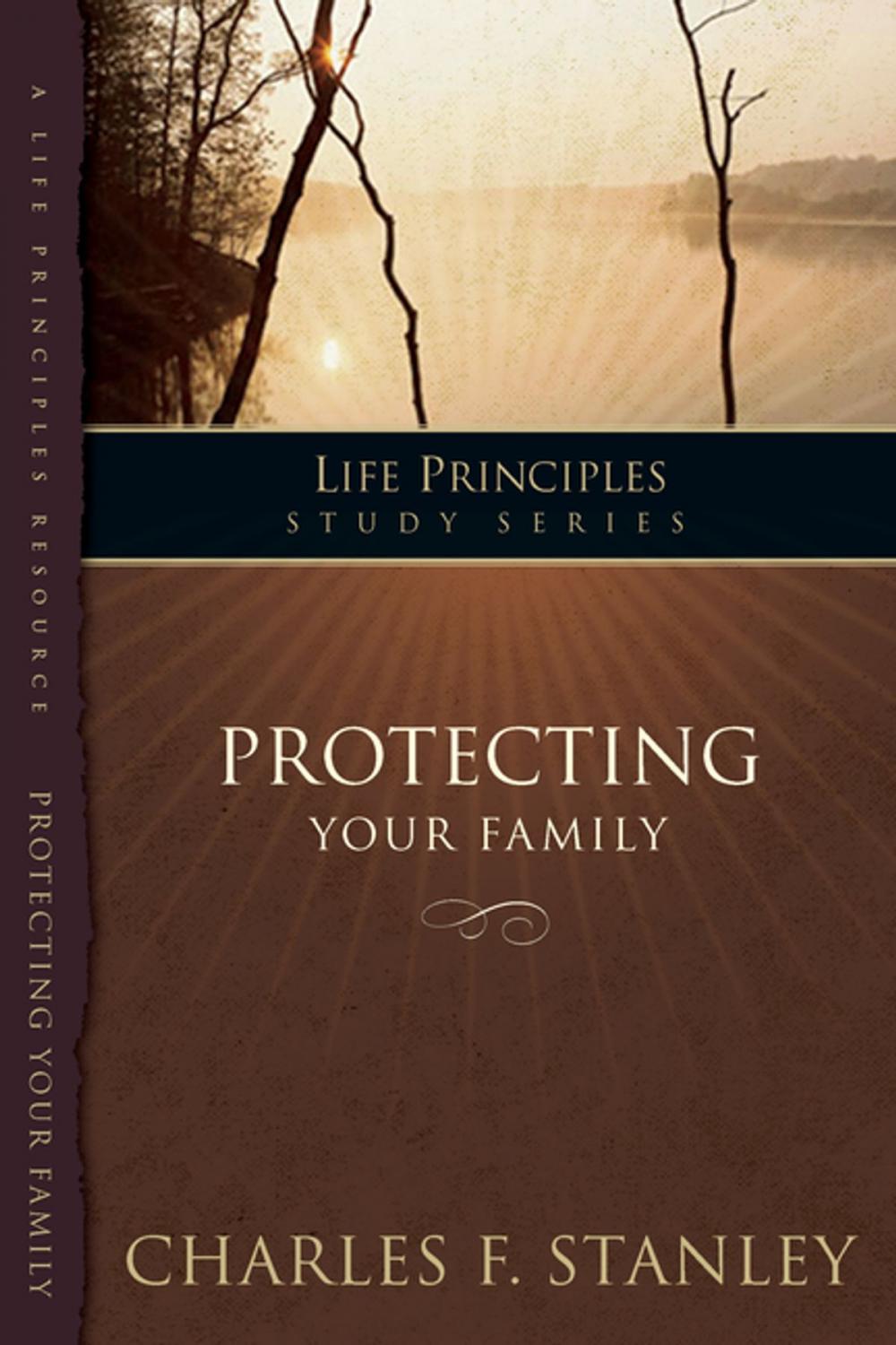 Big bigCover of Protecting Your Family