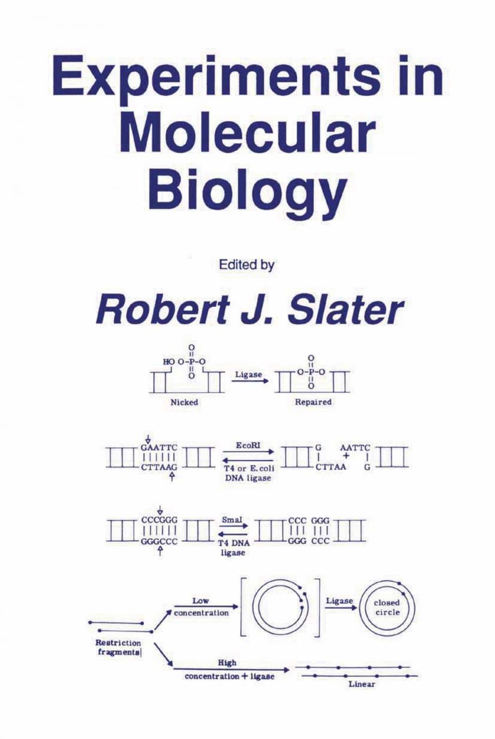 Big bigCover of Experiments in Molecular Biology