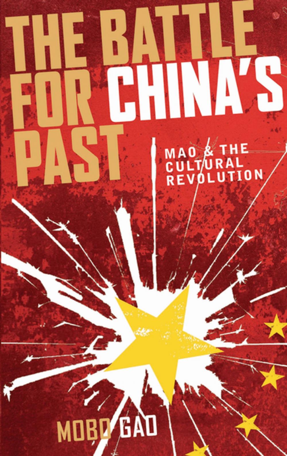 Big bigCover of The Battle For China's Past
