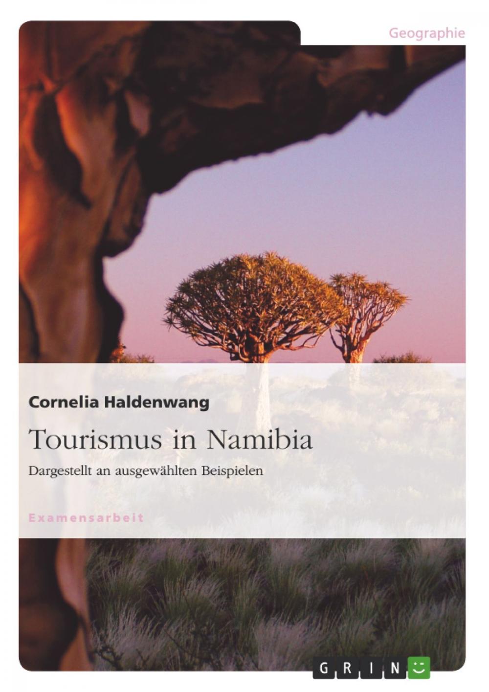 Big bigCover of Tourismus in Namibia
