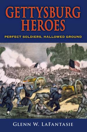 Book cover of Gettysburg Heroes
