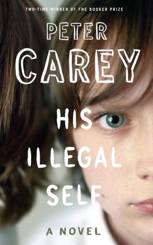 Cover of the book His Illegal Self by Anne-Marie O'Connor