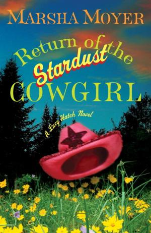 Cover of the book Return of the Stardust Cowgirl by Mister Elyte, Pastiche