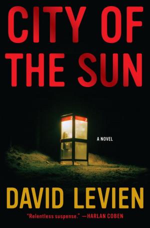 Cover of the book City of the Sun by John Hollander