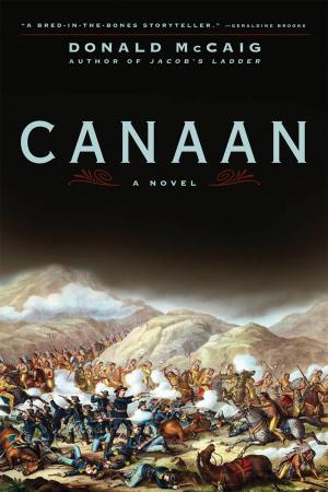 Book cover of Canaan: A Novel