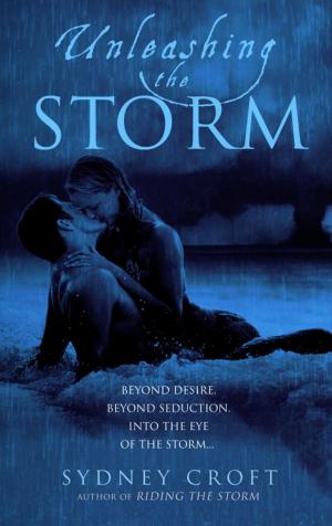 Book cover of Unleashing the Storm