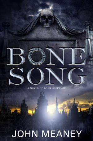 Cover of the book Bone Song by Daniel Holzman, Michael Chernow, Lauren Deen