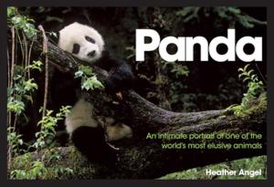 Cover of the book Panda by Susan Tuttle, Christy Hydeck