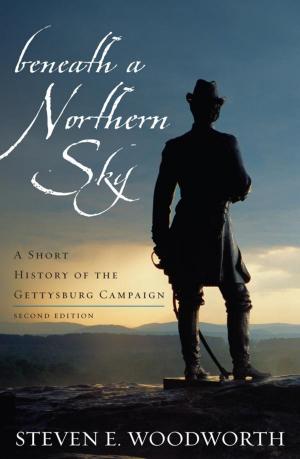 Cover of the book Beneath a Northern Sky by Blaine T. Browne, Robert C. Cottrell