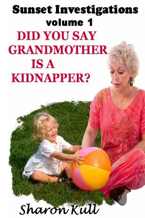 Cover of the book Did You Say Grandmother is a Kidnapper? by Marita Fowler