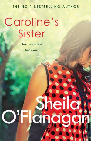 Book cover of Caroline's Sister