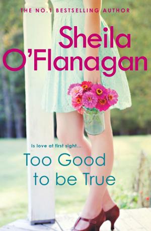 Cover of the book Too Good To Be True by Stephen Bywater