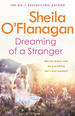 Cover of the book Dreaming of a Stranger by Colette McBeth