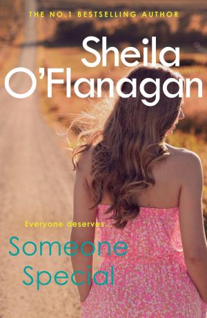 Cover of the book Someone Special by Sheila O'Flanagan