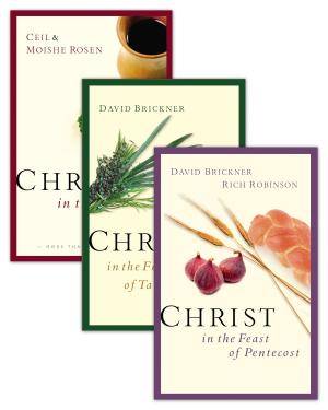 Cover of the book Christ in the Passover/Christ in the Feast of Pentecost/Christ in the Feast of Tabernacles Set by Harry Schaumburg