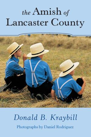 Cover of the book The Amish of Lancaster County by John J. Pullen