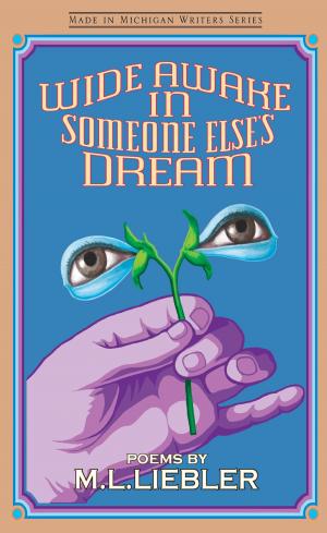 Cover of the book Wide Awake in Someone Else's Dream by Sook Wilkinson