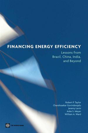 Cover of the book Financing Energy Efficiency: Lessons From Brazil, China, India, And Beyond by Vaccani Matteo