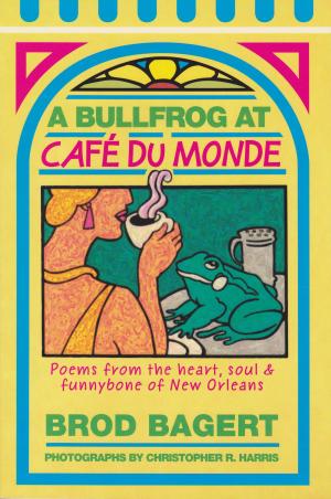 Book cover of A Bullfrog at Cafe du Monde