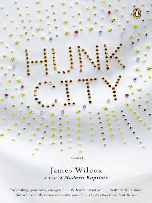 Cover of the book Hunk City by Nancy Holzner