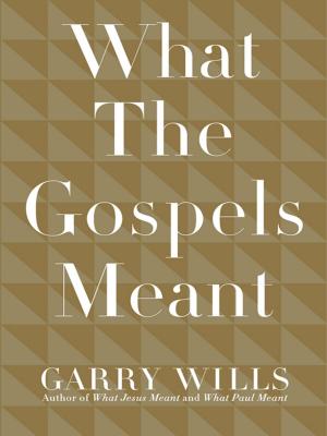 Cover of the book What the Gospels Meant by Jonathan Goldstein