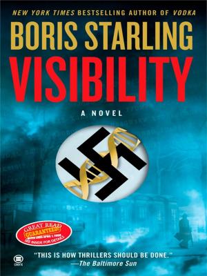 Cover of the book Visibility by T. J. Waters