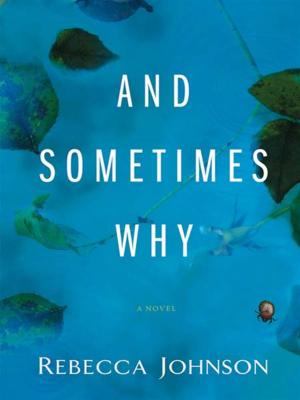 Cover of the book And Sometimes Why by Benedict Jacka