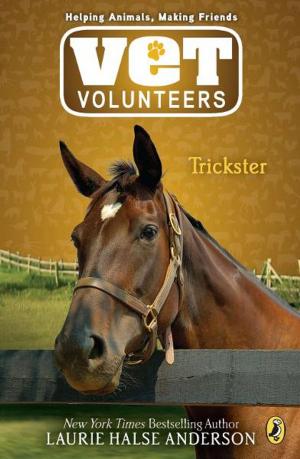 Cover of the book Trickster #3 by Divya Srinivasan