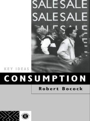 Cover of the book Consumption by David Tacey
