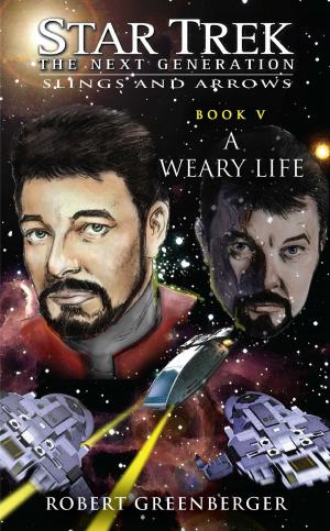 Cover of the book A Weary Life by Jerry Levy