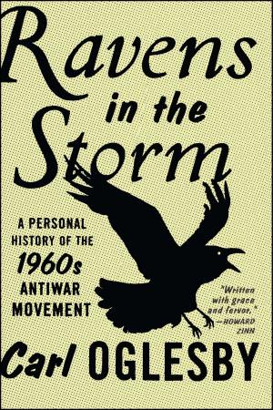 Cover of the book Ravens in the Storm by Erin Somers