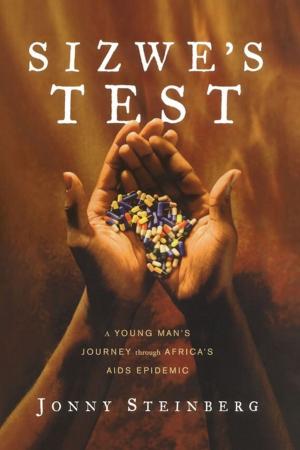 Cover of the book Sizwe's Test by James Webb